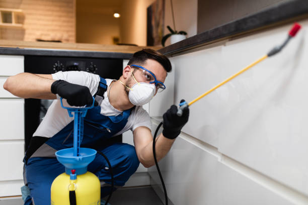 Best Residential Pest Control  in Ivanhoe, TX