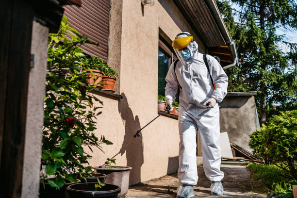 Best Flea Control Services  in Ivanhoe, TX