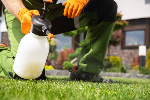 Best Commercial Pest Control Services  in Ivanhoe, TX