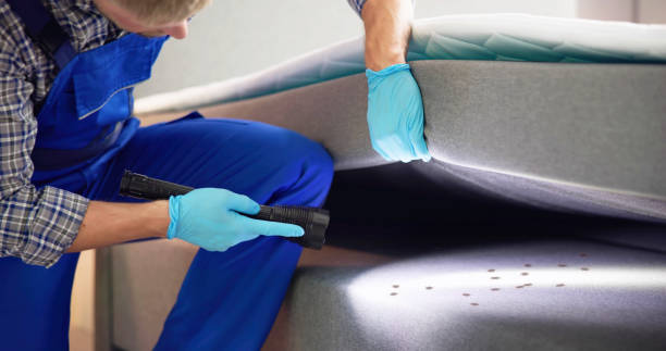 Trusted Ivanhoe, TX Pest Control Experts