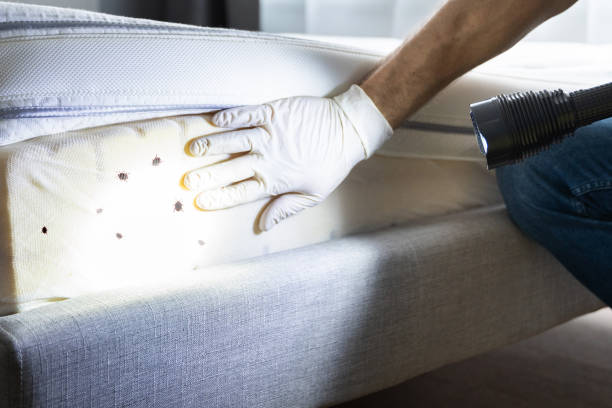 Pest Control Cost in Ivanhoe, TX