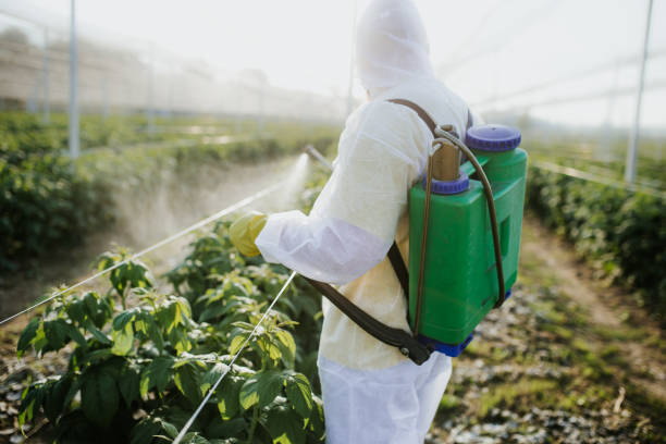 Best Exterminator Services  in Ivanhoe, TX